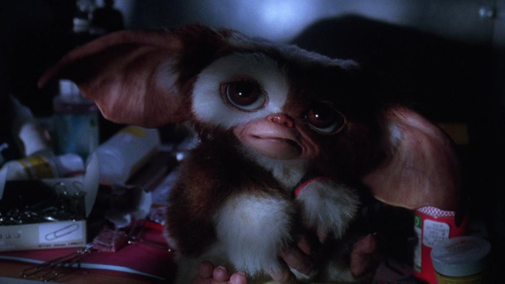 Lot 328 Gremlins 2 The New Batch 1990 Gizmo Stand In Puppet Price Estimate 8000 10000