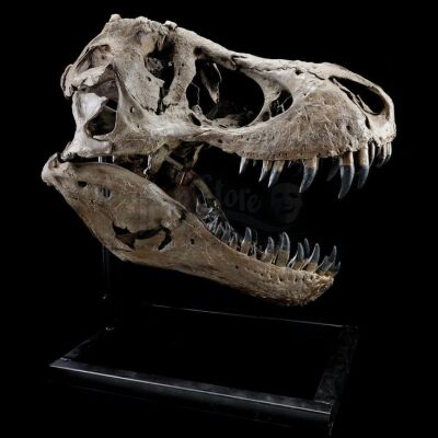 Lot #473 - JURASSIC WORLD: FALLEN KINGDOM (2018) - Mounted 5-Foot Tyrannosaurus Rex Skull