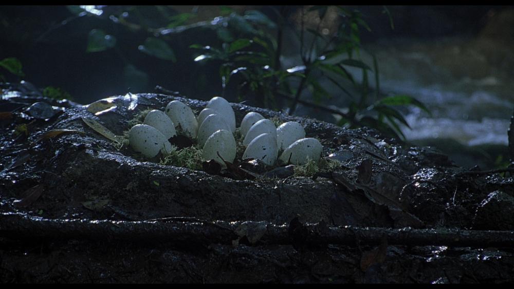 jurassic park eggs