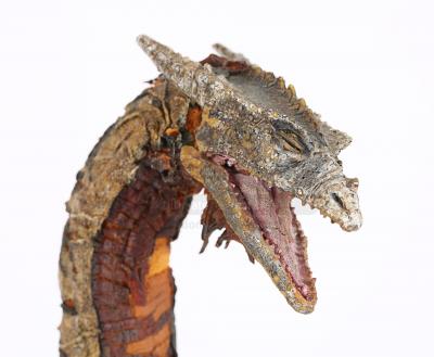 Dragonslayer Vermithrax Head Restoration & Display » Tom Spina Designs