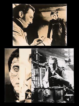 Lot #96 - THE CURSE OF FRANKENSTEIN (1957), THE EVIL OF FRANKENSTEIN (1964) - Bray Studios Collection: Collection of Four Black-and-white Production Stills